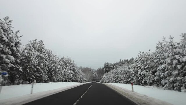 Asphalt road surrounded by the snow-covered trees in the forest