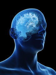Obraz premium 3d illustration of a man's brain matter