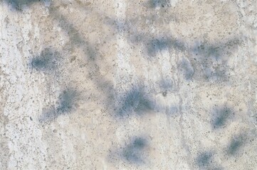 	concrete wall
background, ground, context, fond, foil, field