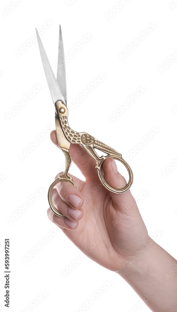 Canvas Prints Woman holding beautiful scissors on white background, closeup