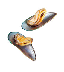 Two large mussels in shells isolated on a white background