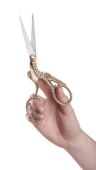 Woman holding beautiful scissors on white background, closeup