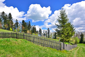 Old wooden fence and  green meadow with forest and blue sky with white clouds in the background.