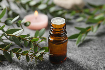 Bottle of eucalyptus essential oil and plant branches on grey table