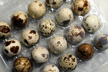 Obraz premium Plastic container with speckled quail eggs on table, top view