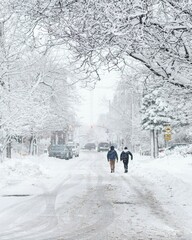 Fototapeta premium Back view of two young kids with backpacks walking along a snowy street with white trees in Ottawa