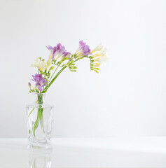 freesia in glass vase on white background