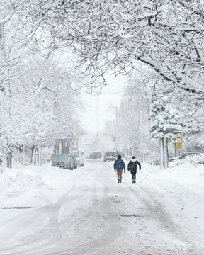 Back view of two young kids with backpacks walking along a snowy street with white trees in Ottawa