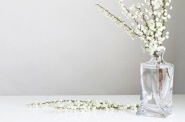white spring flowers in glass vase on white background