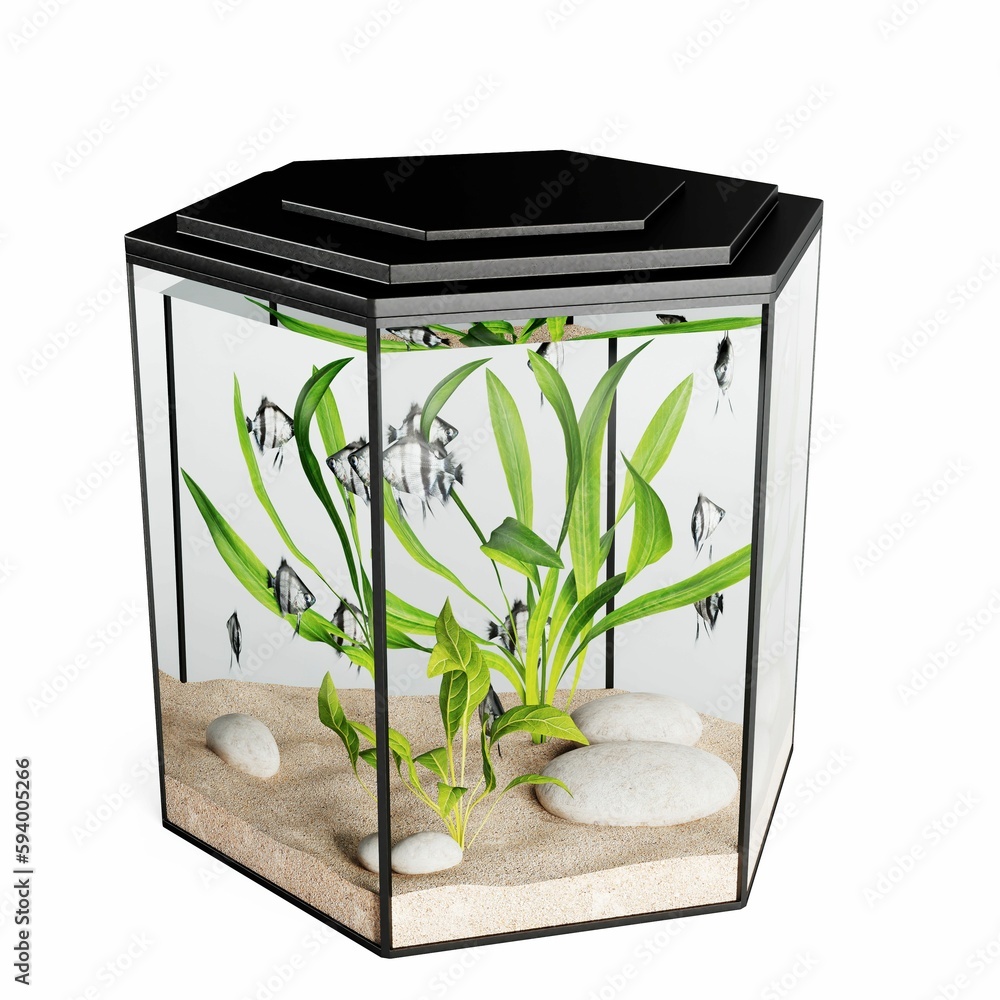 Poster 3d rendering illustration of some fish in an aquarium isolated on a white background
