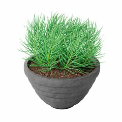 3D rendering illustration of a green plant in a pot isolated on a white background