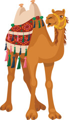 Decorated camel with seat for riding.