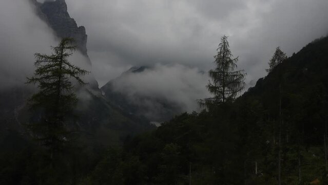 Time-lapse view of moving fog over mountains and trees