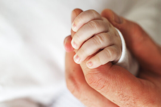Close up photo of father holding newborn baby hand.