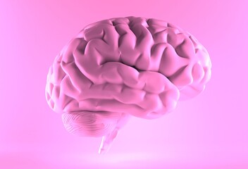 Minimal pink brain in front view over pink background, thinking comic speech bubble. 3d rendering. Brain isolated. Our Minds Matter.
