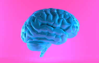 Minimal pink brain in front view over blue background, thinking comic speech bubble. Brain isolated. 
