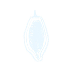 Cocoa bean drawing. Hand drawn sketch Cacao beans. Leaves of Cocoa bean isolated. Sign of Bean to bar cacao. Organic product doodle for cafe, shop, menu. Plant part for label, banner, poster, flyer.