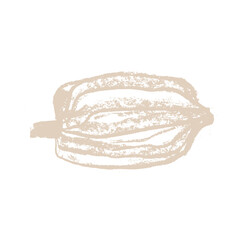 Cocoa bean drawing. Hand drawn sketch Cacao beans. Leaves of Cocoa bean isolated. Sign of Bean to bar cacao. Organic product doodle for cafe, shop, menu. Plant part for label, banner, poster, flyer.