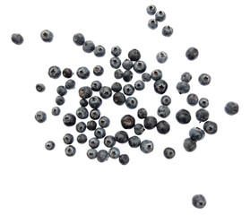 Ripe blueberries isolated on white background.