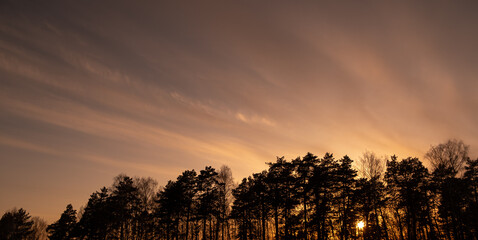 Sunset sky in early spring, the sun shines through the trees, clouds and traces of aircraft are visible