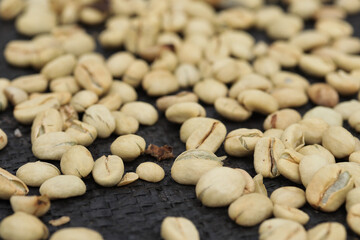 Photo of coffee beans drying. Concept of food processes.