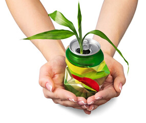 Plant Growing Out of a Beverage Can