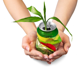 Plant Growing Out of a Beverage Can