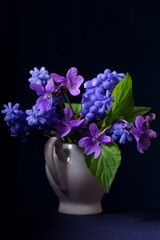 Beautiful background with spring flowers, purple viola and blue mascari flowers in the vase