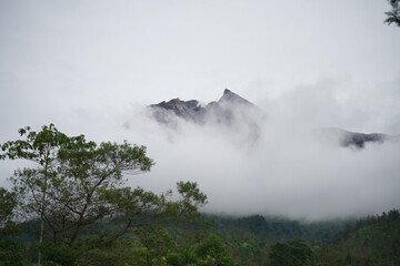 View of Mount Merapi slightly covered in morning mist