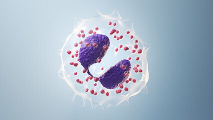 3d illustration of an eosinophil - 594018061