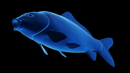 3d illustration of a common carps