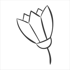 Flower. Hand drawn vector illustration