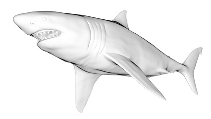 3d illustration of a great white shark