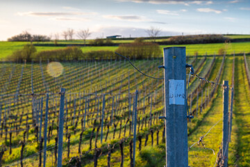 Magical sunset with a dramatic cloudscape in the rolling hills and the vineyards of Fromberg, Voerendaal in the South Limburg in the Netherlands during early spring season with amazing sunbeams.