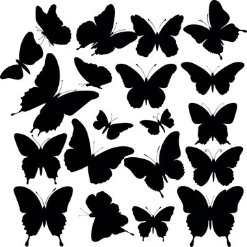 Butterfly Silhouette Sets