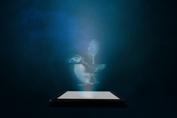 An Atlantic puffin is projected from a tablet with a blue abstract background. Artificial...