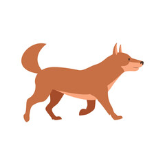 Cute Akita Inu Dog Walking Flat Vector Illustration in Brown Color. Funny Cartoon Character with Smiling Face and Wagging Tail. Use as Icon, Sign, or Design Element for Pet-related Concept