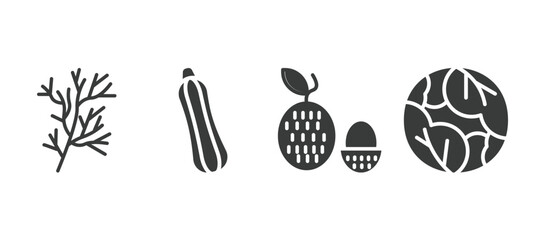set of vegetables and fruits filled icons. vegetables and fruits glyph icons included dill, courgette, lychee, cabbage vector.