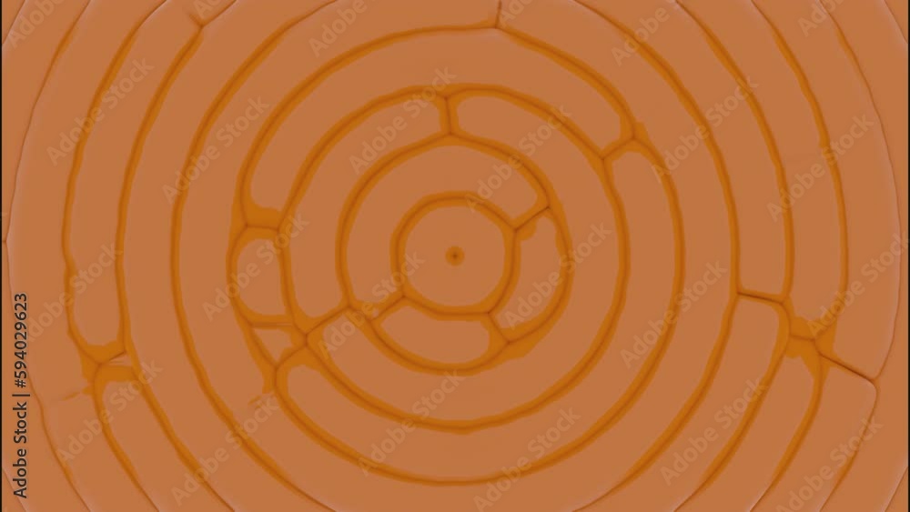 Poster animation with moving circles and pulses. design. circular pulses with waves on simple background. m