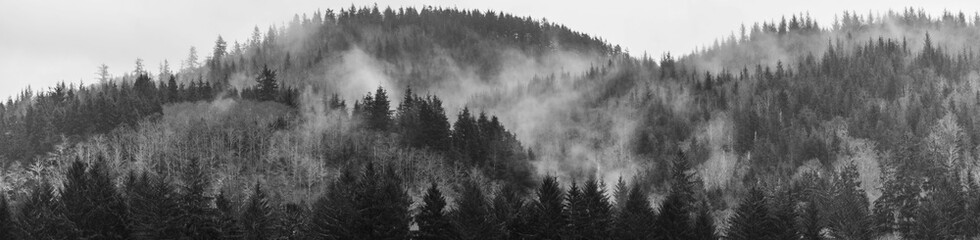 Grayscale panoramic shot of cloud rolling over the top of a mountain in the US Northwest rainforest.