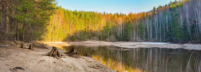 Panoramic spring landscape of a lake with a forest, stumps on the shore, Russia, Ural - 594030803