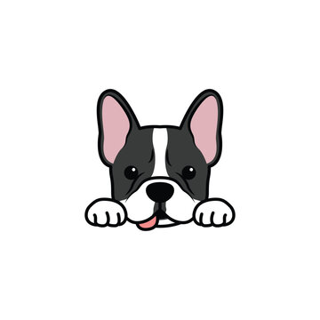 Funny french bulldog puppy cartoon isolated on a white background, vector illustration