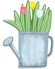 yellow white and pink tulips with leaves in a gray watering can isolated isolated on white background ' Hand drawn pastel, oil pastel and chalk illustration © sweetsake