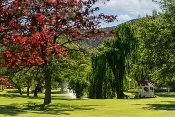 Red gazebo on a green lawn with trees on a sunny day.