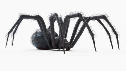 3d illustration of a black widow