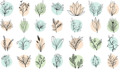 Vector set sketch hand drawn flowers