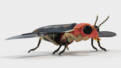 3d illustration of a firefly