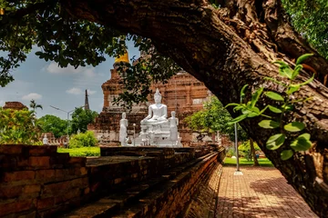 Crédence de cuisine en verre imprimé Monument historique Scenic shot of white Buddha statues and the ruins of the ancient city of Ayuthaya, Thailand