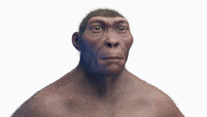 3d illustration of a male homo habilis