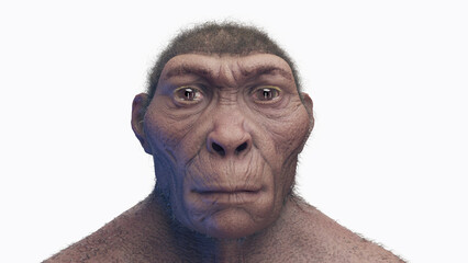 3d illustration of a male homo habilis